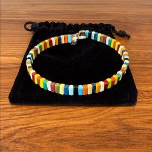 Roxanne Assoulin Rainbow Brite Enamel Choker/Necklace